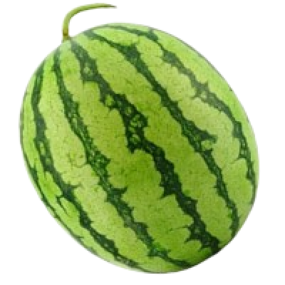 Aporuva - Water Melon